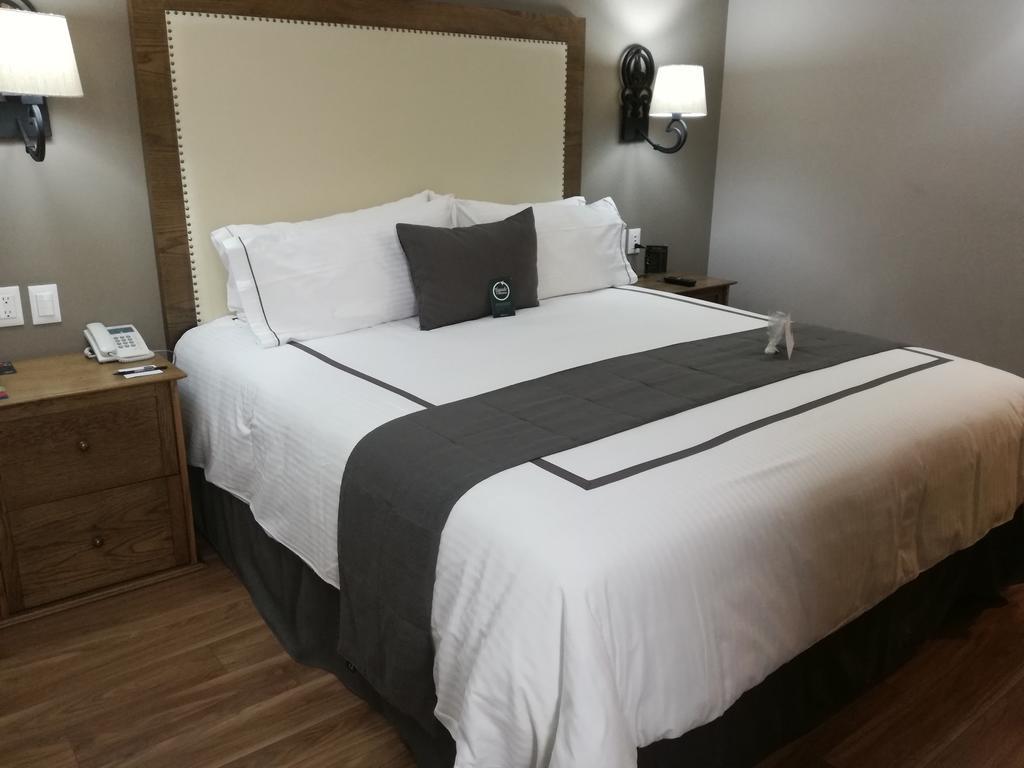 Standard Double Room 1 Bed